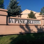 Sign at Pine Bluffs